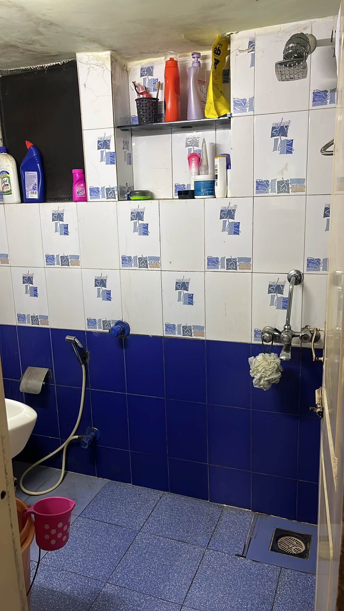 2BHK flat in Oshiwara, Double Occupancy for Female — photo 2